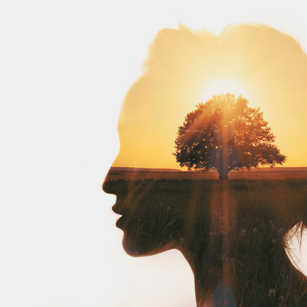 Personal growth from 30 day no contact rule - silhouette of a woman's head with a tree and sunset inside. 